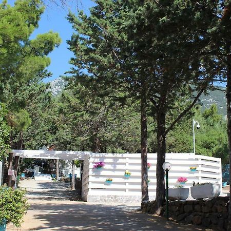 Camping Car Palmasera Cala Gonone Buitenkant foto